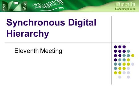Synchronous Digital Hierarchy Eleventh Meeting. History of Multiplexing Synchronous digital hierarchy (SDH) is a world- wide standard for digital communication.