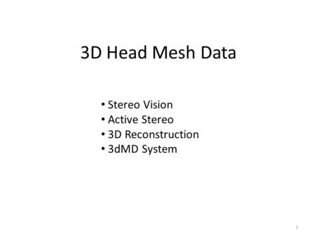 3D Head Mesh Data Stereo Vision Active Stereo 3D Reconstruction 3dMD System 1.