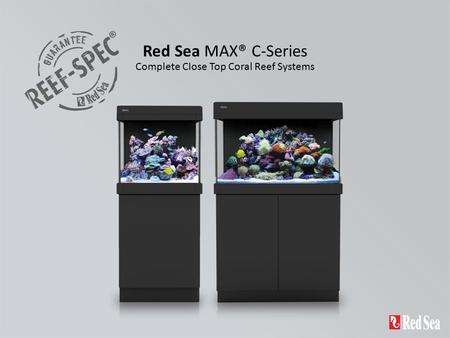Complete Close Top Coral Reef Systems