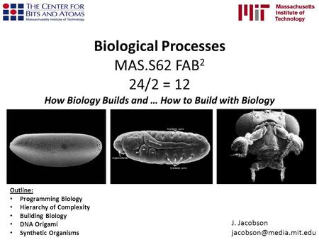 Biological Processes MAS.S62 FAB 2 24/2 = 12 How Biology Builds and … How to Build with Biology Outline: Programming Biology Hierarchy of Complexity Building.