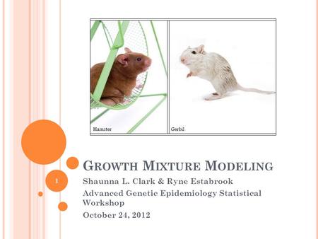 G ROWTH M IXTURE M ODELING Shaunna L. Clark & Ryne Estabrook Advanced Genetic Epidemiology Statistical Workshop October 24, 2012 1.