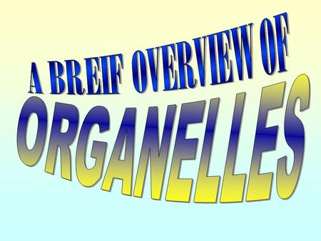 A BREIF OVERVIEW OF ORGANELLES.