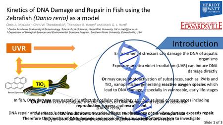 Kinetics of DNA Damage and Repair in Fish using the Zebrafish (Danio rerio) as a model Chris A. McCabe 1, Chris W. Theodorakis 2, Theodore B. Henry 1 and.