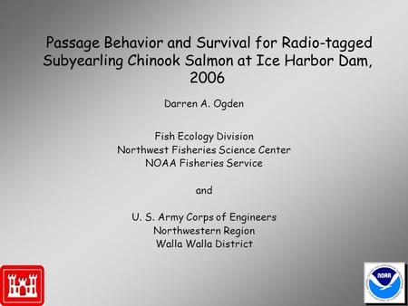 Passage Behavior and Survival for Radio-tagged Subyearling Chinook Salmon at Ice Harbor Dam, 2006 Fish Ecology Division Northwest Fisheries Science Center.