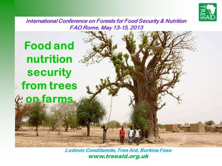 International Conference on Forests for Food Security & Nutrition FAO Rome, May 13-15, 2013 Food and nutrition security from trees on farms Ludovic Conditamde,