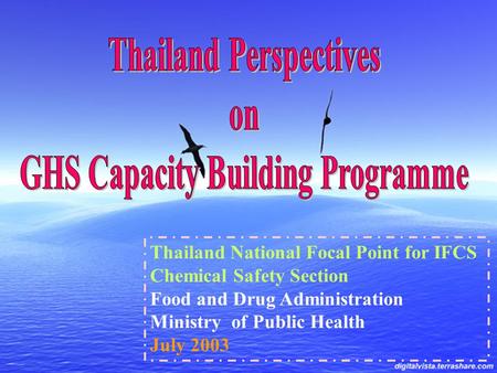 Thailand National Focal Point for IFCS Chemical Safety Section Food and Drug Administration Ministry of Public Health July 2003.