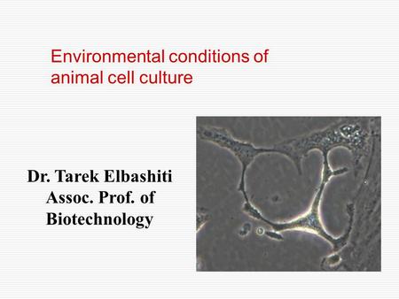 Dr. Tarek Elbashiti Assoc. Prof. of Biotechnology Environmental conditions of animal cell culture.