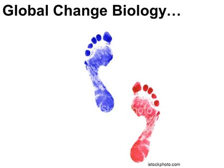 Global Change Biology… istockphoto.com. Global Change Biology…How natural ecology changes by human actions.