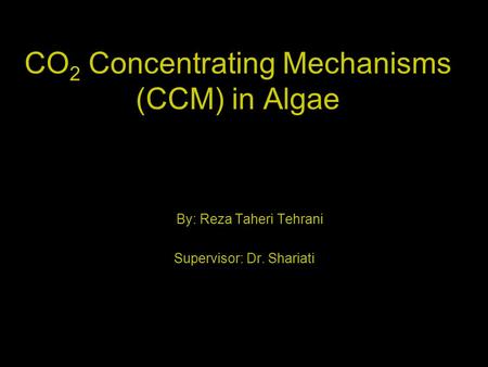 CO2 Concentrating Mechanisms (CCM) in Algae