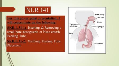 NUR 141 For this power point presentation, I will concentrate on the following: SKILL 31-1: Inserting & Removing a small-bore nasogastric or Naso-enteric.