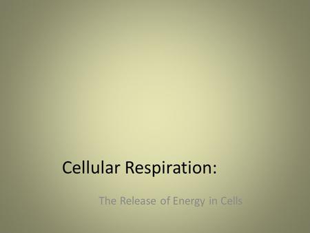 Cellular Respiration: The Release of Energy in Cells.
