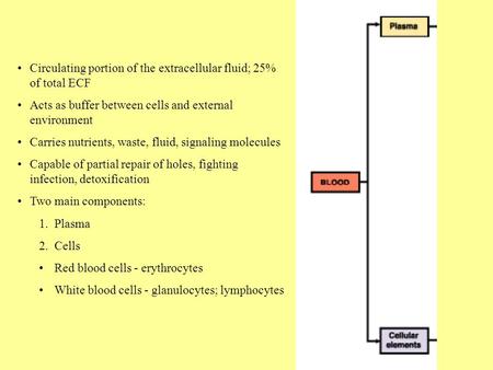 Circulating portion of the extracellular fluid; 25% of total ECF Acts as buffer between cells and external environment Carries nutrients, waste, fluid,