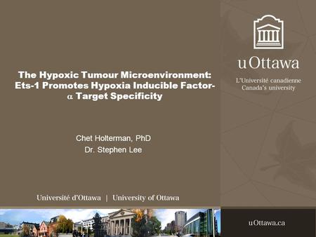 The Hypoxic Tumour Microenvironment: Ets-1 Promotes Hypoxia Inducible Factor-  Target Specificity Chet Holterman, PhD Dr. Stephen Lee.