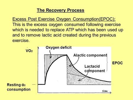 The Recovery Process Excess Post Exercise Oxygen Consumption(EPOC): This is the excess oxygen consumed following exercise which is needed to replace ATP.