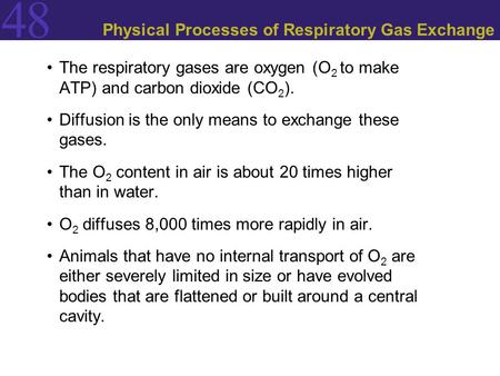 Physical Processes of Respiratory Gas Exchange