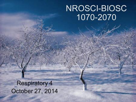 NROSCI-BIOSC 1070-2070 Respiratory 4 October 27, 2014.