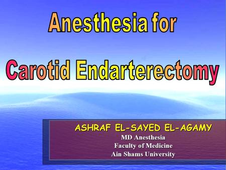 ASHRAF EL-SAYED EL-AGAMY MD Anesthesia Faculty of Medicine Ain Shams University.