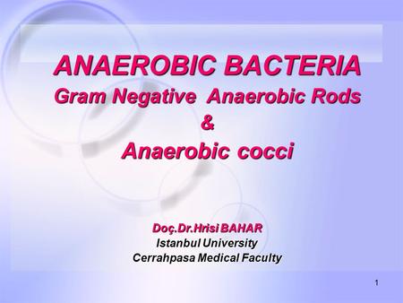 Gram Negative Anaerobic Rods Cerrahpasa Medical Faculty
