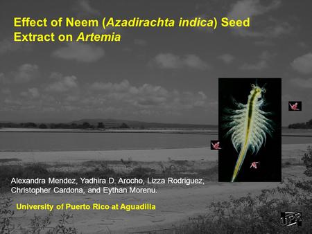 Effect of Neem (Azadirachta indica) Seed Extract on Artemia Alexandra Mendez, Yadhira D. Arocho, Lizza Rodriguez, Christopher Cardona, and Eythan Morenu.