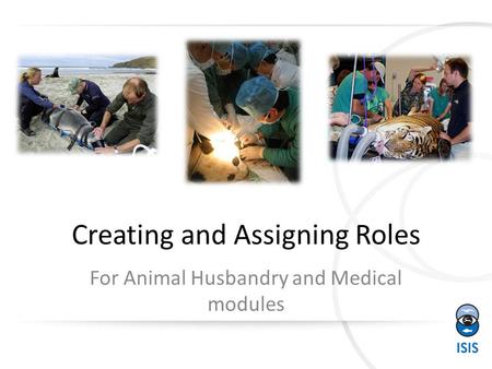 Creating and Assigning Roles For Animal Husbandry and Medical modules.