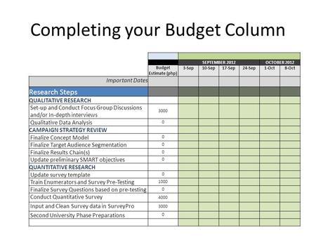 Completing your Budget Column