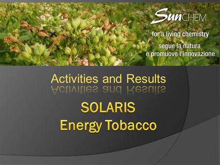 SOLARIS Energy Tobacco