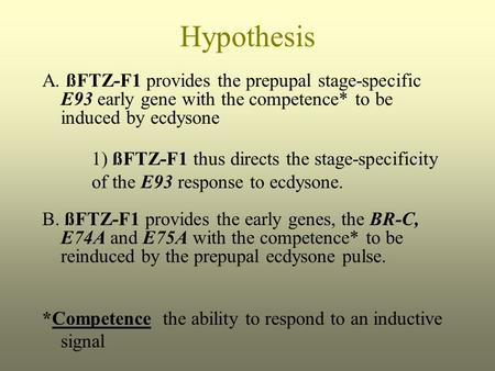 Hypothesis A. ßFTZ-F1 provides the prepupal stage-specific E93 early gene with the competence* to be induced by ecdysone 1) ßFTZ-F1 thus directs the stage-specificity.