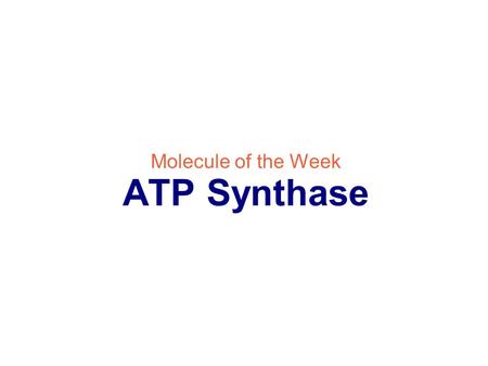 Molecule of the Week ATP Synthase. ...a nanoscale machine ● Two molecular motors / generators ● Enzyme ● Ion pump Function: Synthesize ATP / Create proton.