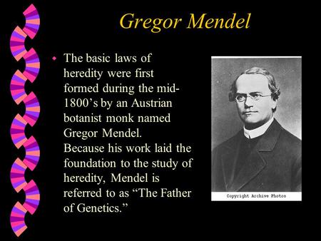 Gregor Mendel The basic laws of heredity were first formed during the mid-1800’s by an Austrian botanist monk named Gregor Mendel. Because his work laid.