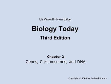 Biology Today Third Edition Chapter 2 Genes, Chromosomes, and DNA Copyright © 2004 by Garland Science Eli Minkoff Pam Baker.