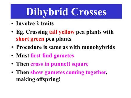 Dihybrid Crosses Involve 2 traits Eg. Crossing tall yellow pea plants with short green pea plants Procedure is same as with monohybrids Must first find.