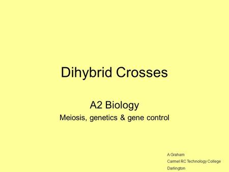 Dihybrid Crosses A2 Biology Meiosis, genetics & gene control A Graham Carmel RC Technology College Darlington.