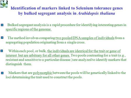 Identification of markers linked to Selenium tolerance genes