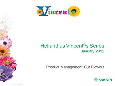 Sunflower F1 Vincent®s Series