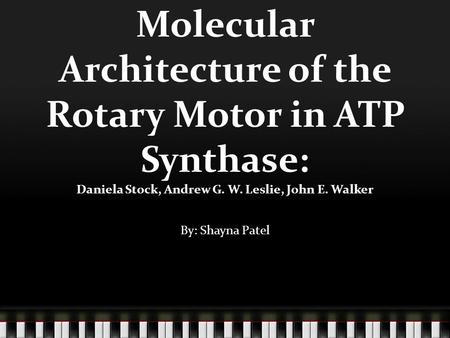 Molecular Architecture of the Rotary Motor in ATP Synthase: Daniela Stock, Andrew G. W. Leslie, John E. Walker By: Shayna Patel.