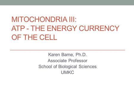 MITOCHONDRIA III: ATP - THE ENERGY CURRENCY OF THE CELL Karen Bame, Ph.D. Associate Professor School of Biological Sciences UMKC.