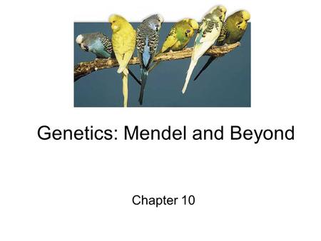 Genetics: Mendel and Beyond