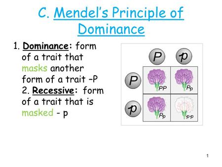C. Mendel’s Principle of Dominance