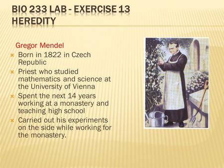 Bio 233 Lab - Exercise 13 Heredity