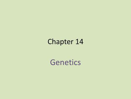 Chapter 14 Genetics. Introduction Pre 1800s – blending hypothesis 1850s – Gregor Mendel.