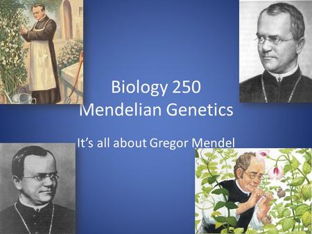 Biology 250 Mendelian Genetics