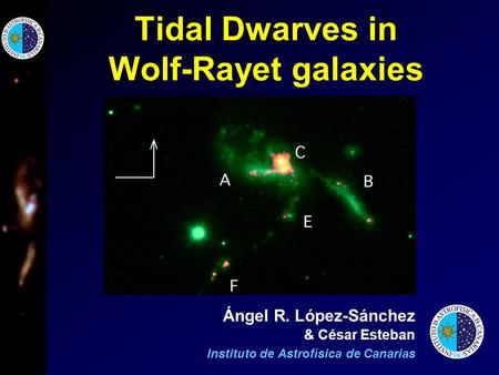 Tidal Dwarves in Wolf-Rayet galaxies Ángel R. López-Sánchez & César Esteban Instituto de Astrofísica de Canarias.