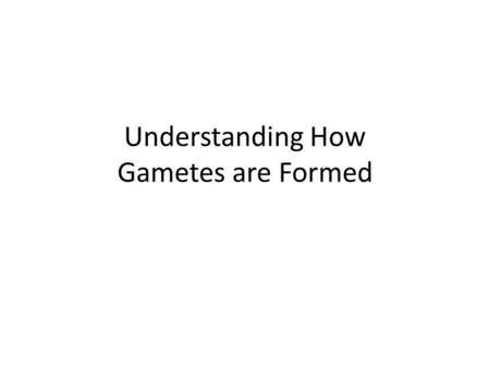 Understanding How Gametes are Formed. Alleles First remember all of our traits or genes come in pairs. Remember if you have a pair of jeans – you have.