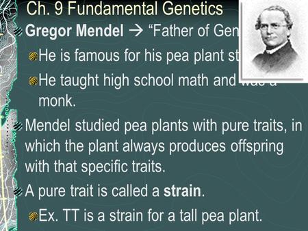 Ch. 9 Fundamental Genetics Gregor Mendel  “Father of Genetics” He is famous for his pea plant studies. He taught high school math and was a monk. Mendel.