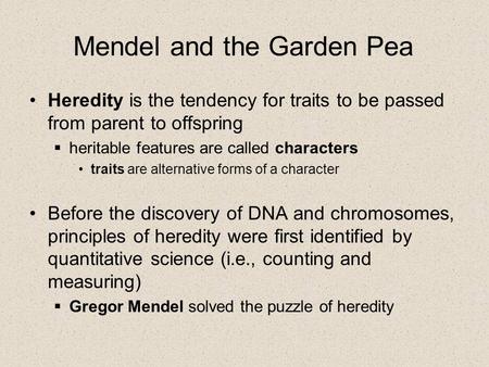 Mendel and the Garden Pea