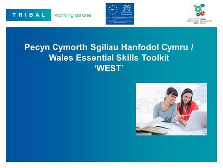 Over the past twelve months Tribal has worked in partnership with the Welsh Government, and an expert user group, comprising experienced stakeholders from.