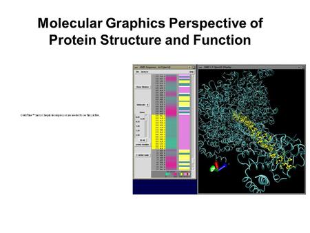 Molecular Graphics Perspective of Protein Structure and Function.