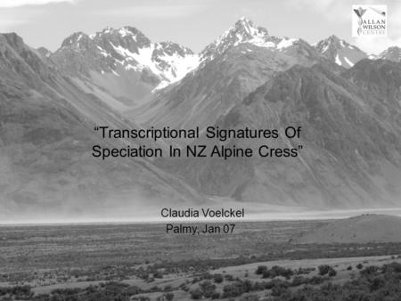 “Transcriptional Signatures Of Speciation In NZ Alpine Cress” Palmy, Jan 07 Claudia Voelckel.