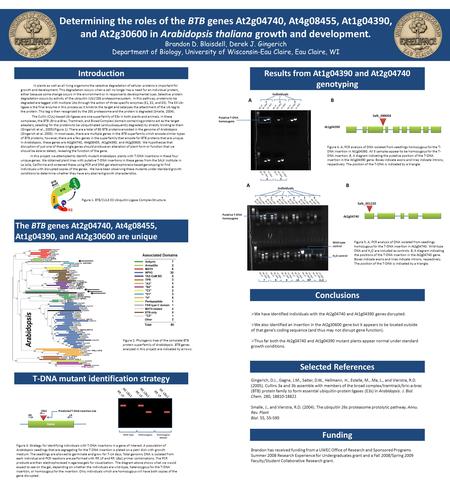 Determining the roles of the BTB genes At2g04740, At4g08455, At1g04390, and At2g30600 in Arabidopsis thaliana growth and development. Brandon D. Blaisdell,