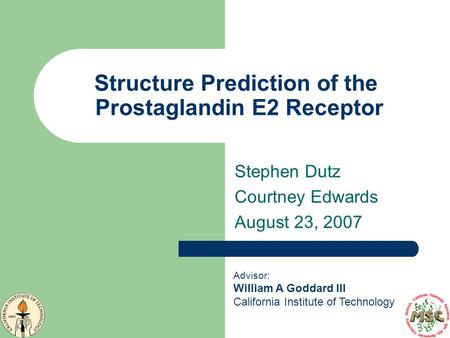 Structure Prediction of the Prostaglandin E2 Receptor Stephen Dutz Courtney Edwards August 23, 2007 Advisor: William A Goddard III California Institute.
